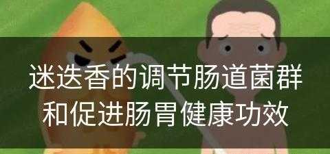 迷迭香的调节肠道菌群和促进肠胃健康功效